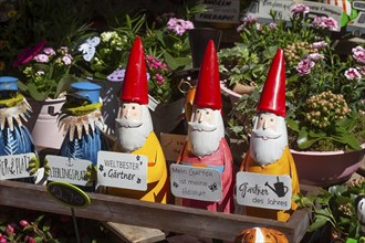 Colourful garden gnomes in front of a shop, Leer, East Frisia, Germany, Europe