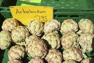 Artichokes in a crate with price tag on a market stall, Germany, Europe