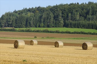 Hay bales in a field in front of a wooded hill, Upper Palatinate