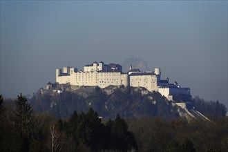 Medieval castle on a wooded hill, surrounded by trees and with a clear sky, Hohensalzburg Fortress,