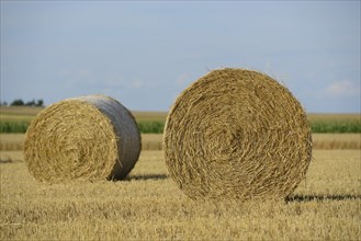 Close-up of two hay bales on a dry, harvested field, Upper Palatinate