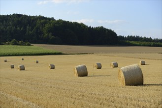 Several hay bales on a large harvested field with forest in the background, Upper Palatinate