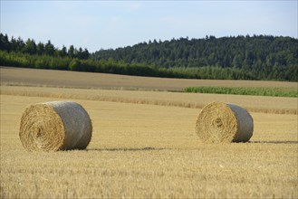 Two hay bales in a wide field on a sunny day with a wooded background, Upper Palatinate