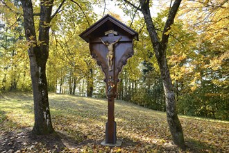 Wooden crucifix in an autumnal forest, surrounded by trees and falling leaves, Upper Palatinate