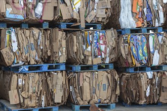 Crushed cardboard boxes bundled on pallets for recycling