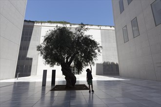 Boy reaching for the leaves of an olive tree, silhouette between modern concrete architecture,