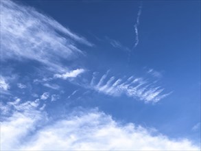 Clouds Veil clouds Feather clouds Cirrus in front of blue sky, international