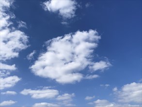 Clouds Cirrocumulus Cluster clouds in front of blue sky, international