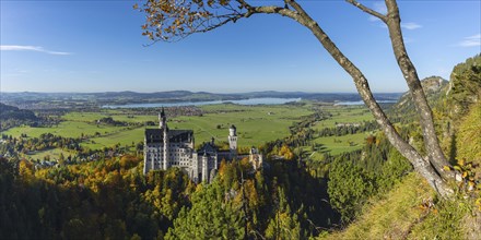 Neuschwanstein Castle near Hohenschwangau, Romantic Road, Ostallgäu, Bavaria, Germany, Europe