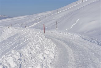 Road in Oytal, Oberstdorf, Allgäu Alps, Allgäu, Bavaria, Germany, Europe