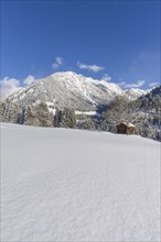 Snowy landscape, behind it Schattenberg, 1845m, Oberallgaeu, Allgaeu, Bavaria, Germany, Europe