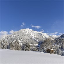 Snowy landscape, behind it Schattenberg, 1845m, Oberallgaeu, Allgaeu, Bavaria, Germany, Europe