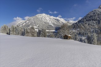 Snowy landscape, behind Schattenberg, 1845m, and Riffenkopf, 1748m, Oberallgaeu, Allgaeu, Bavaria,