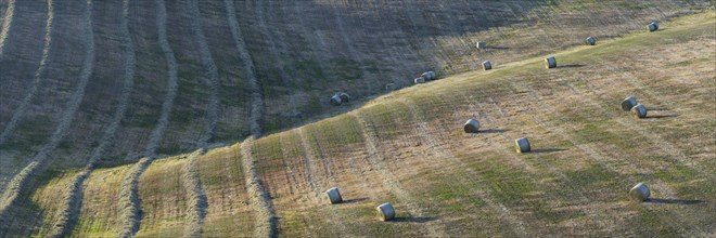 Harvested wheat field with bales of straw, landscape around Pienza, Val d'Orcia, Orcia Valley,