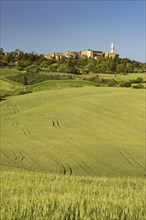 Landscape around Pienza, Val d'Orcia, Orcia Valley, UNESCO World Heritage Site, Province of Siena,