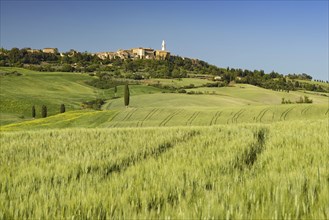 Landscape around Pienza, Val d'Orcia, Orcia Valley, UNESCO World Heritage Site, Province of Siena,