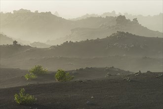 Parque Natural de Los Volcanes, near Masdache, Lanzarote, Canary Islands, Spain, Europe