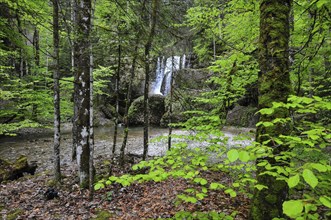 Waterfall at the Steigbach in the Steigbachtobel near Immenstadt in Oberallgäu, Bavaria, Germany,