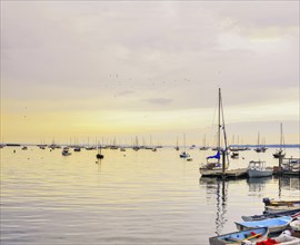 The harbor of Rockland, Rockland, Maine, USA, North America