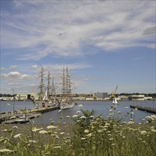 The United States Coast Guard tall ship Eagle and the Brazilian Navy tall ship Cisne Branco, which