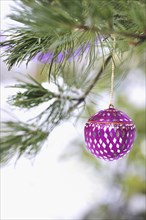 Pink mirrored Christmas ornament and pink garland hang from the boughs of an Austrian pine tree aka