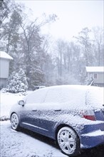 USA, 7 November 2012: Still trying to recover from Hurricane Sandy, a snow storm hits the