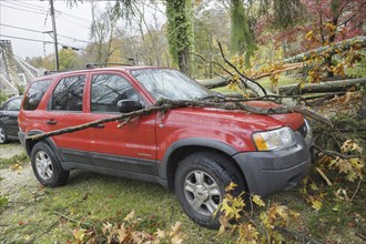 Chappaqua, NY, USA 30 Oct 2012: Scene of damage the day after Hurricane force winds from Hurricane