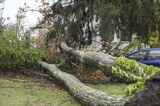 Chappaqua, NY, USA 30 Oct 2012: Scene of damage the day after Hurricane force winds from Hurricane