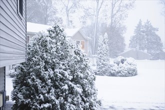 USA, 7 November 2012: Still trying to recover from Hurricane Sandy, a snow storm hits the