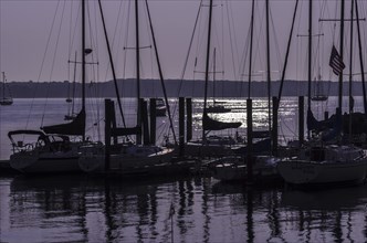 Sailboats in silhouette moored at a dock with a purple sunrise. Niantic, East Lyme, Connecticut,