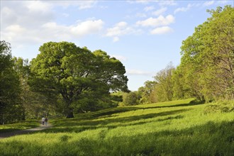 A couple holding hands walks on a winding path in a beautiful natural setting with lush trees and