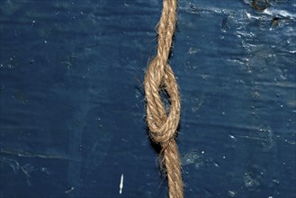 Nautical rope knot on blue wooden background