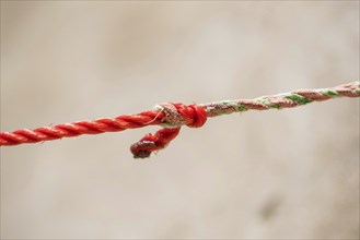 Rope knot white blurred background as a strong tied