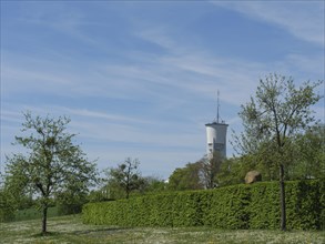 A tower rises behind a hedge and several small trees on a blooming spring meadow under a blue sky,