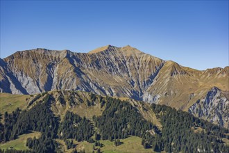 Mountain landscape with wooded slopes and clear peaks under a blue sky, saas Fee, Alps,