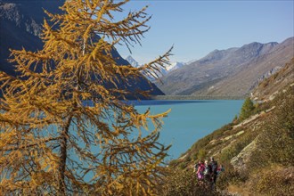 Hikers in autumn landscape at the turquoise lake surrounded by mountains, Saas Fee, Switzerland,