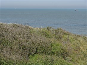 View of the sea with vegetation in the foreground and a boat in the distance under a blue sky,