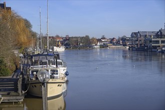 Boats lying quietly in the harbour in clear water, surrounded by trees and seagulls under a summer