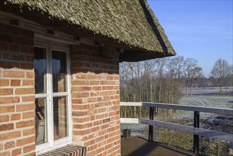 House with thatched roof and windows, surrounded by a peaceful landscape with trees in the