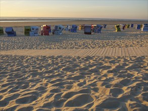 Beach chairs in the soft sand at sunset, golden atmosphere, langeoog, germany