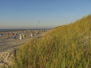 Long sandy beach with dunes and beach chairs in the warm evening light, langeoog, germany