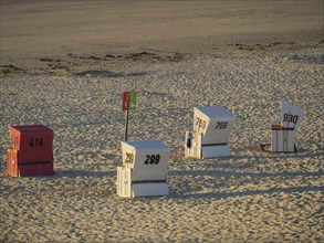 Several beach chairs in a row on the sandy beach, langeoog, germany