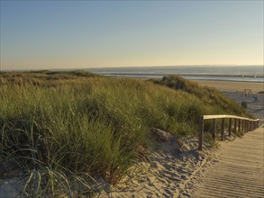 A wooden path leads through the dunes to a beach, the sunlight shines through the grass, blue sea