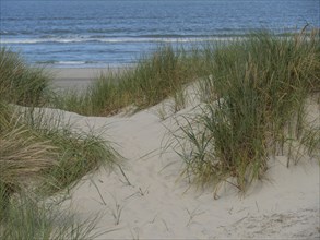 Grassy dunes with a view of the beach and the sea under a cloudy sky, langeoog, germany