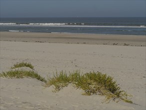 A quiet beach with plants in the sand, waves of the sea and a blue sky, langeoog, germany