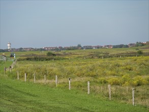 Fence along a green pasture with houses and hills in the background, langeoog, germany