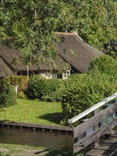 A charming house with a thatched roof and a wooden bridge are surrounded by a well-tended garden