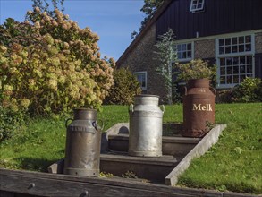 Three old milk cans stand in the garden of a farm, surrounded by flowers and a green meadow,