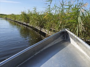 A metallic boat on calm water next to dense reeds under a clear sky, giethoorn, Netherlands