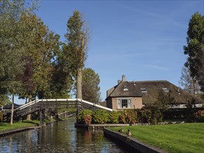 Thatched house with wooden bridge over a river, surrounded by greenery and flowers, with ducks in